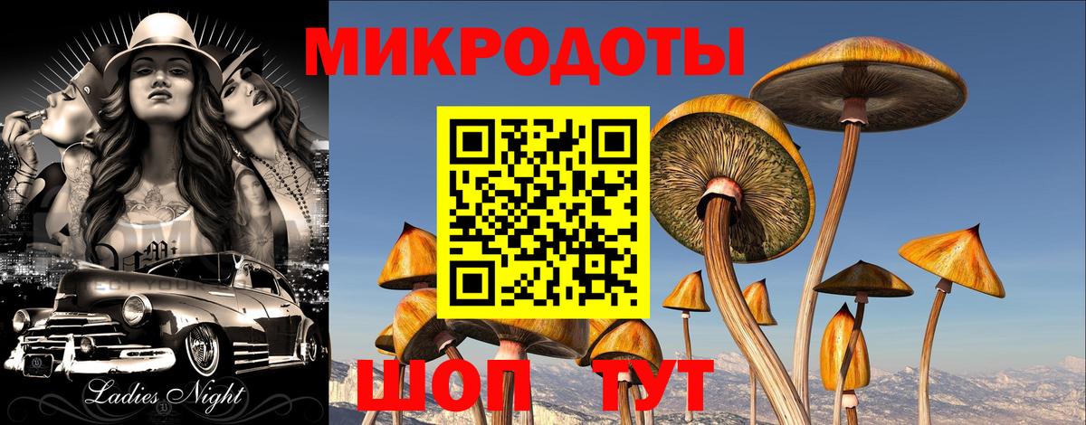 Галлюциногенные грибы прущие грибы Краснознаменск